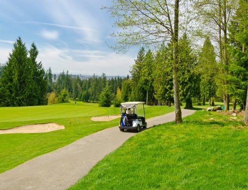 Driver-Technik ab 60 — Spin-Loft vor Speed