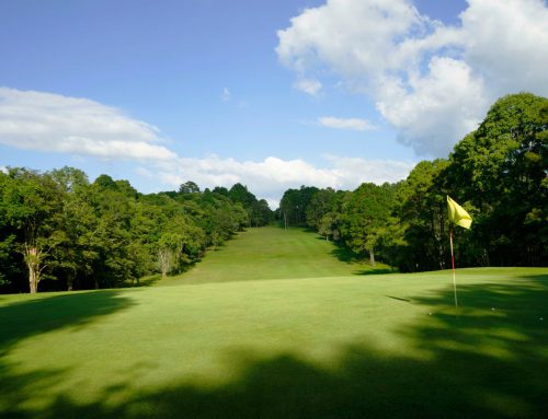 Driver Clubhead Speed Tracking — What Really Matters