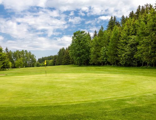 Fairway-Trefferquote tracking — Driver-Konstanz messen